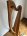 Larry Egar lever harp - click image for more information